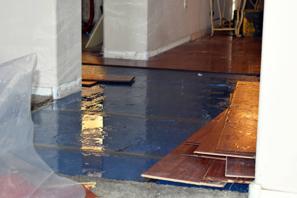 Professional Burst Pipe Cleanup technician working in Rowlesburg, WV